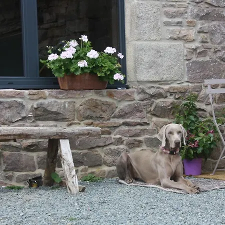 L'esperluete Bed & Breakfast Ploezal